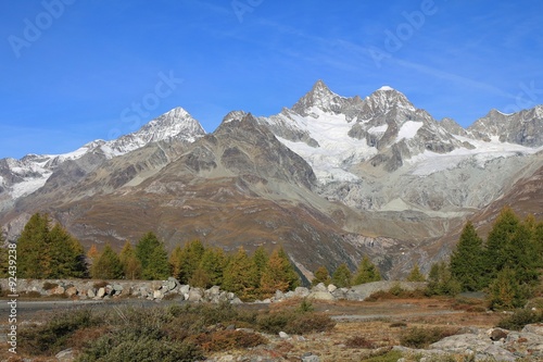 Mt Weisshorn and yellow larchs