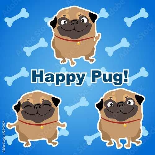 Three happy pus dogs on a blue background with bones