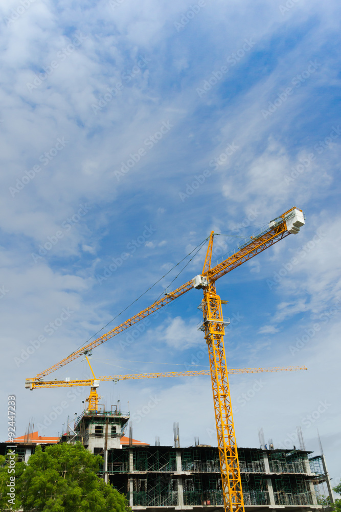 Fototapeta premium Yellow crain