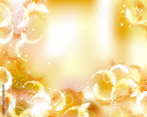 feather background