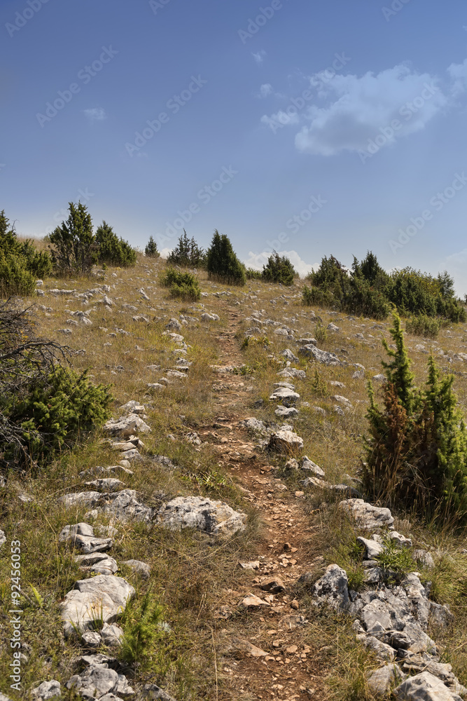 Mountain path for hiking