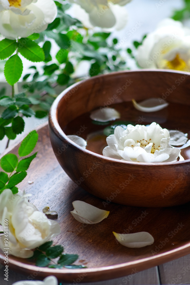 spa concept spa concept