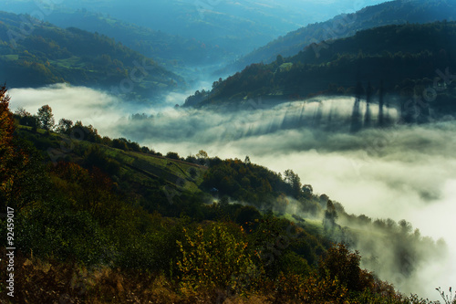 Autumn landscape