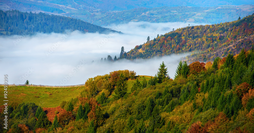 Autumn landscape