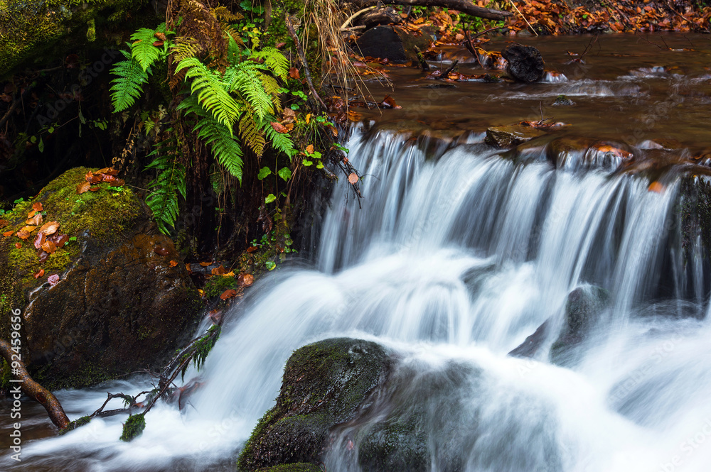 Naklejka premium Autumn landscape