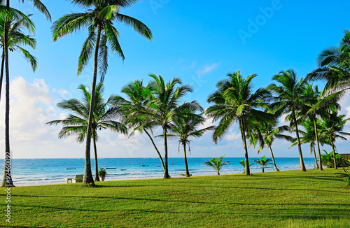 Beach Diani photo