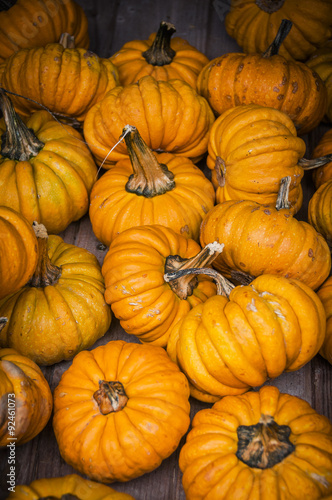 Kürbis, Speisekürbis, Herbstgemüse, Guicoy mini, Guïcoy mini, Erntezeit, Herbstmarkt, Herbst, Schweiz © bill_17