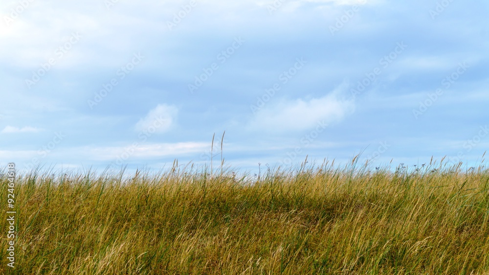 Fototapeta premium düne und himmel