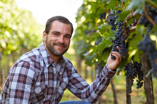 Winemaker in vineyard photo
