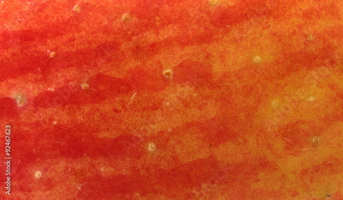 texture of the apple peel