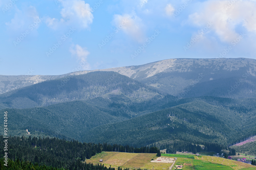 summer landscape summer landscape
