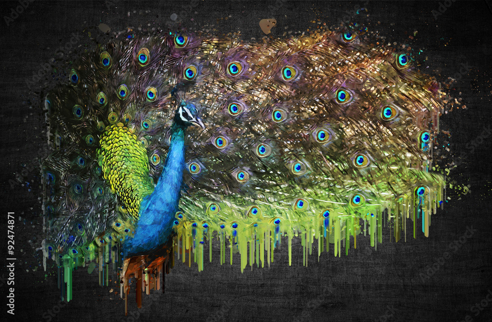 Obraz premium Peacock on dark background. Paint effect