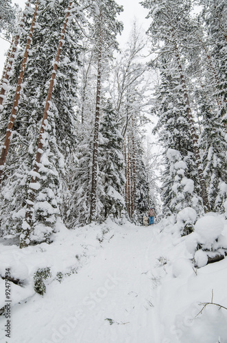 The woman with a dog on walk in a winter wood