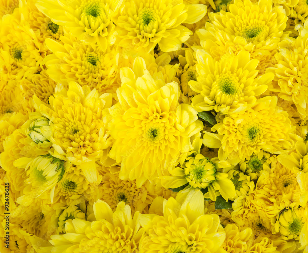 Bunch of flowers Bunch of flowers