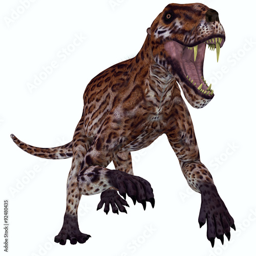 Lycaenops Permian Cat - Lycaenops was a carnivorous mammal-like reptile that lived in South Africa during the Permian Period.