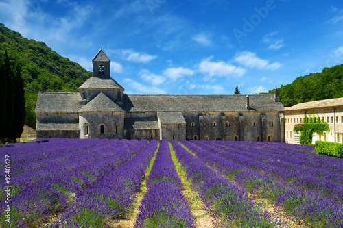 Abbey of Senanque and blooming rows lavender flowers. Gordes, Lu