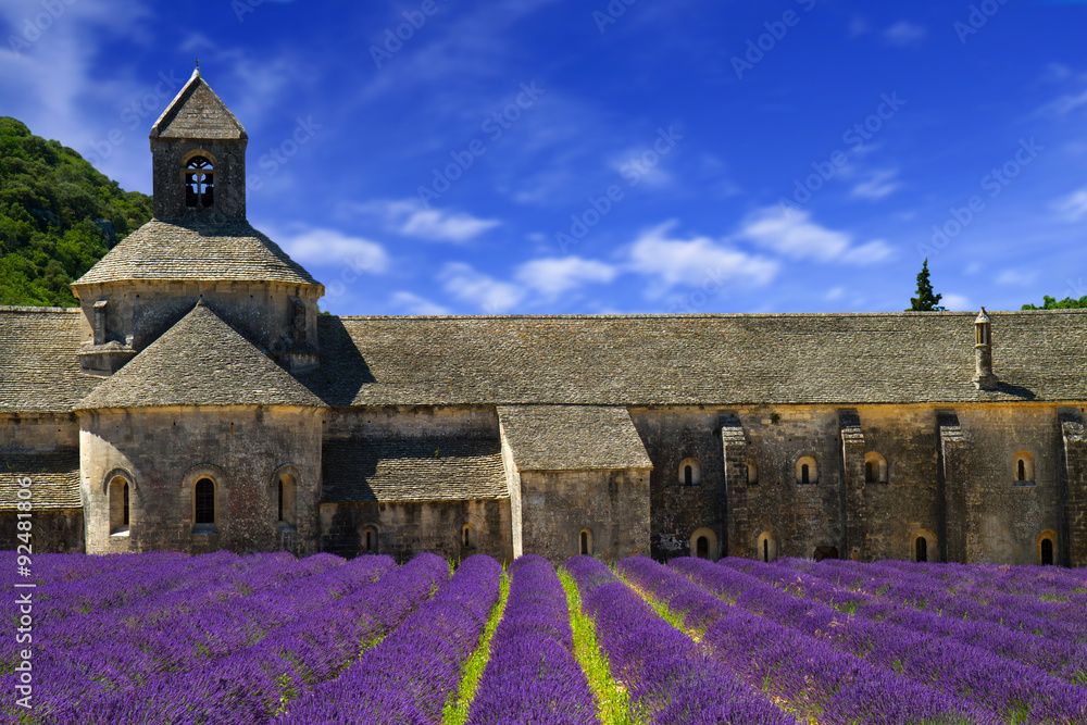 Naklejka premium Abbey of Senanque and blooming rows lavender flowers. Gordes, Lu