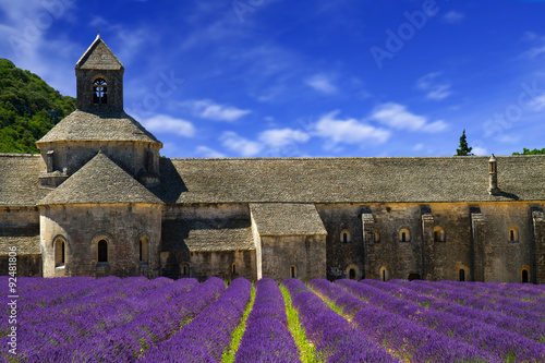Fototapeta Naklejka Na Ścianę i Meble -  Abbey of Senanque and blooming rows lavender flowers. Gordes, Lu