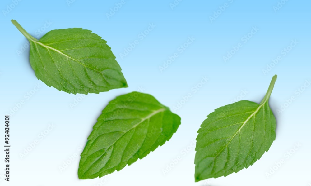 Obraz premium Leaves.