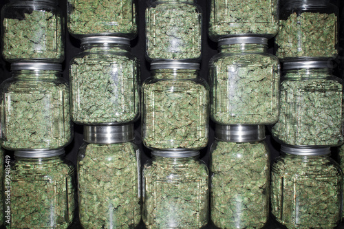 Canvastavla Stacked Wall of Glass jars Filled with Green Marijuana Buds