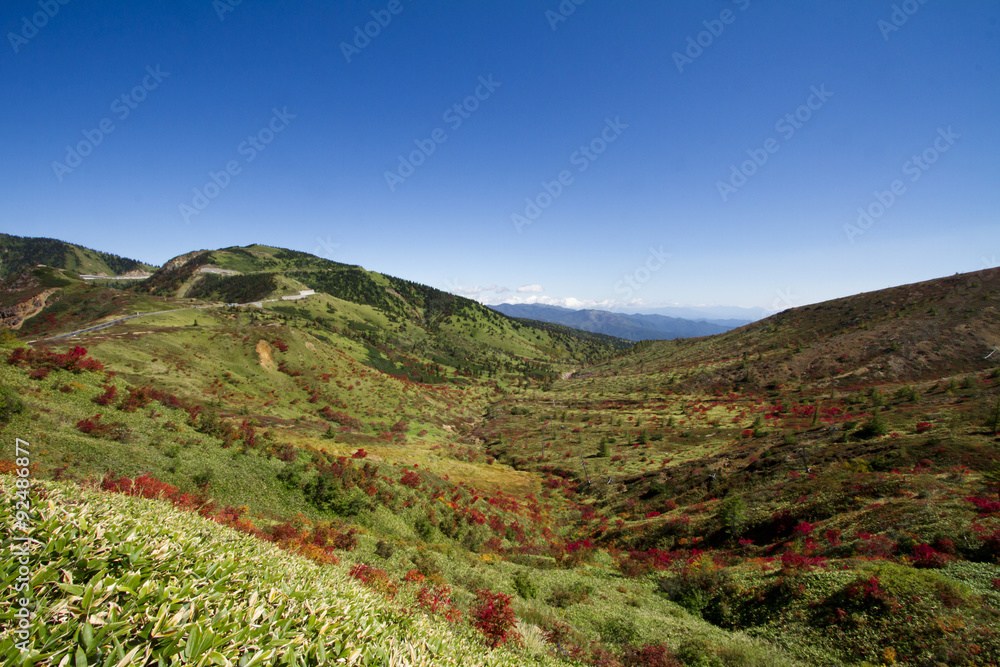 Naklejka premium 秋の山田峠