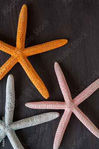 starfish on rustic wooden boards