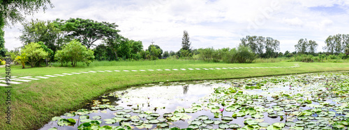 Panoramic view of lotus pond with cement walk way.