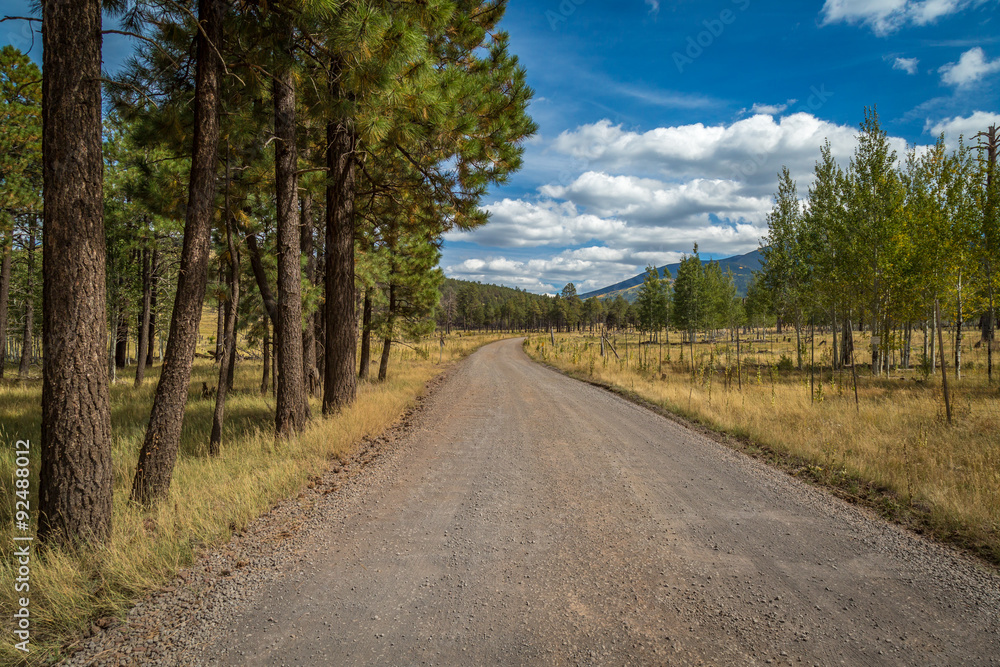 Open Road