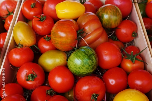 Colorful organic heirloom tomatoes at a farmers market photo