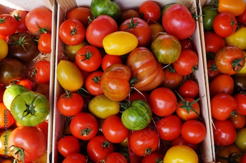 Colorful organic heirloom tomatoes at a farmers market photo