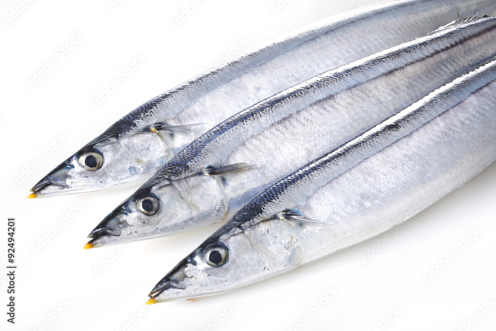 生さんま　Pacific saury
