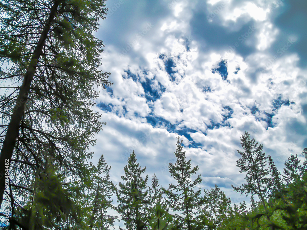 Obraz premium Cloudy Sky