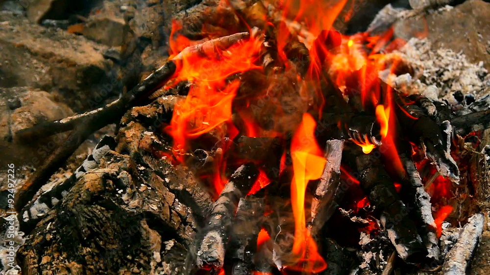 Campfire in fire pit at campsite.