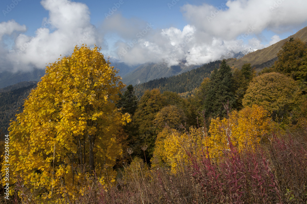 Autumn in the Caucasus. Sochi Region. The surroundings of Krasnaya Polyana. Russia.