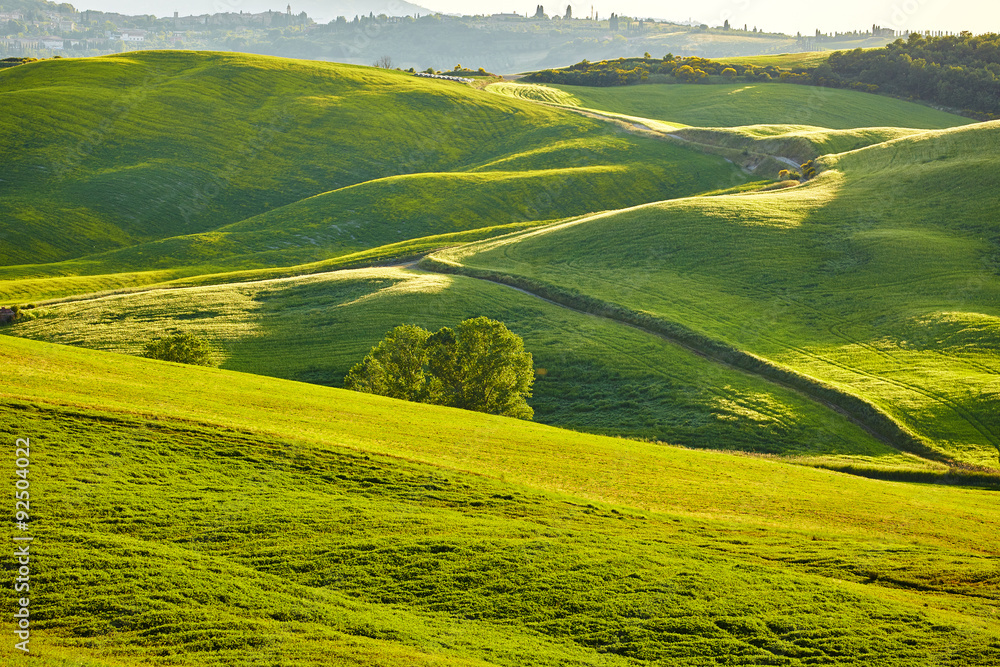 Fototapeta premium Tuscany hills
