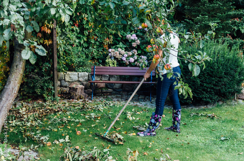 Naklejka premium prace ogrodowe