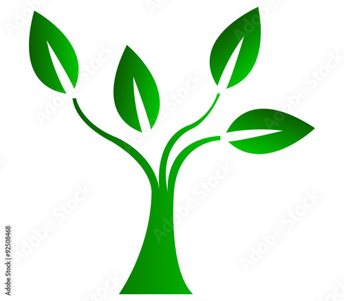 albero