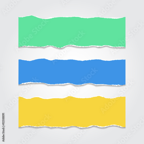 Collection of colored lacerated pieces of paper. Vector illustra