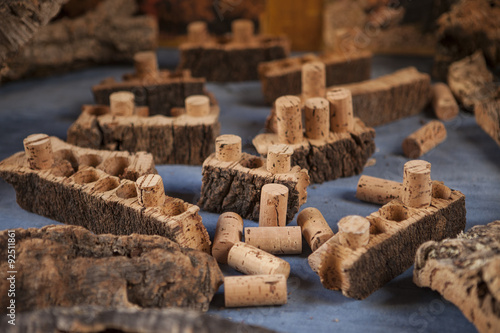 Cork wood and cork for wine