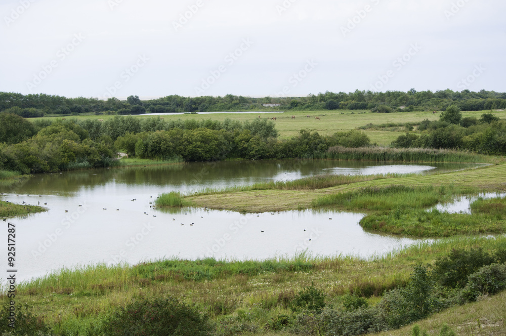 Fototapeta premium Le Parc de Marquenterre