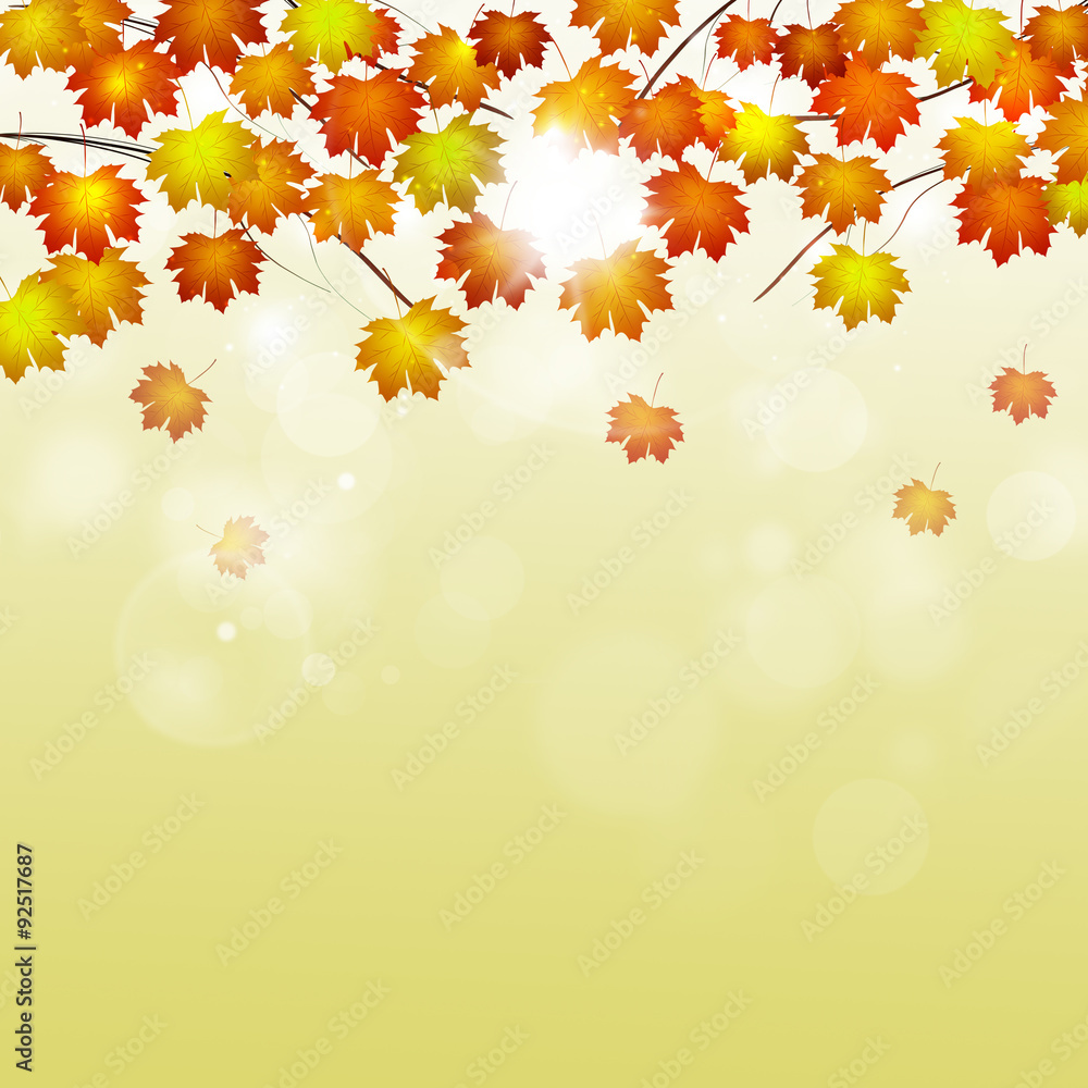 Autumn Background Autumn Background