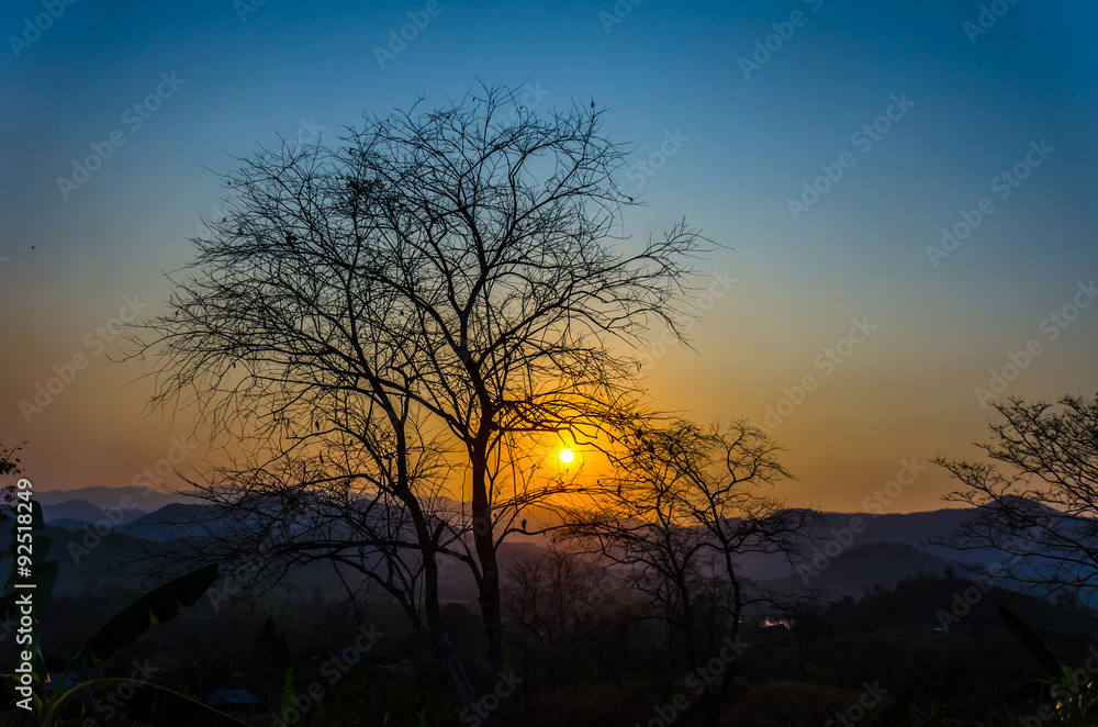 The sunset over the mountains, with trees silhouetted against the sky