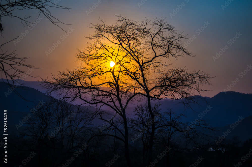 The sunset over the mountains, with trees silhouetted against the sky