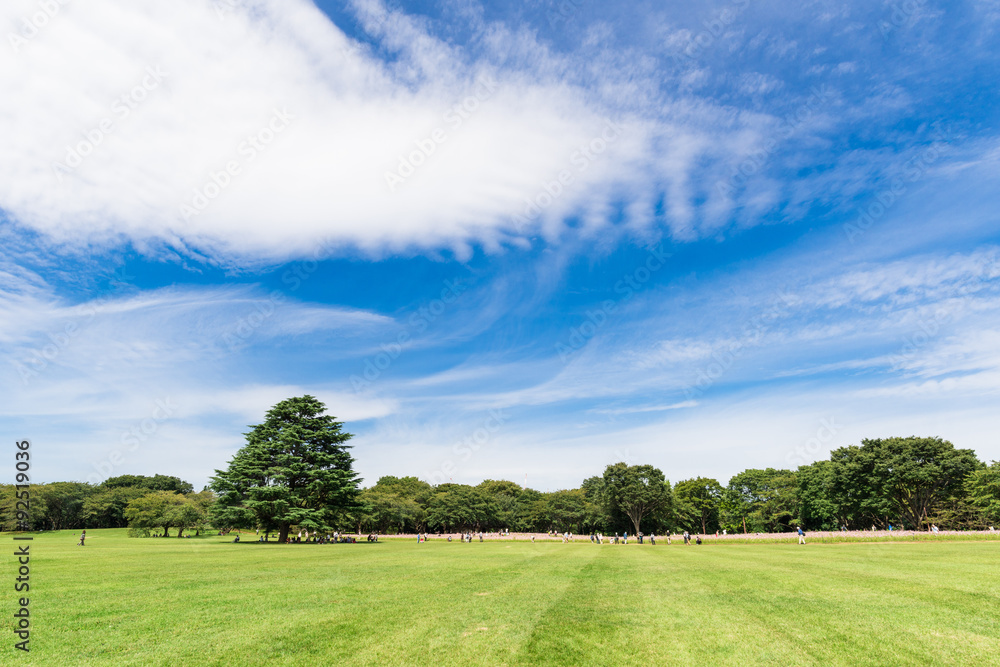 昭和記念公園 みんなの原っぱ 昭和記念公園 みんなの原っぱ