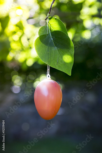 orange easter egg hanging in a tree