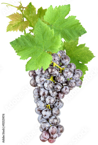 grappe de raisin muscat et feuilles de vigne 