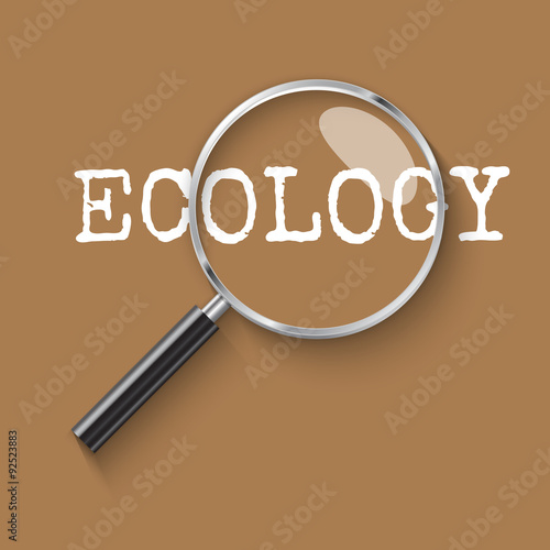 Ecology Magnifying glass concept illustration