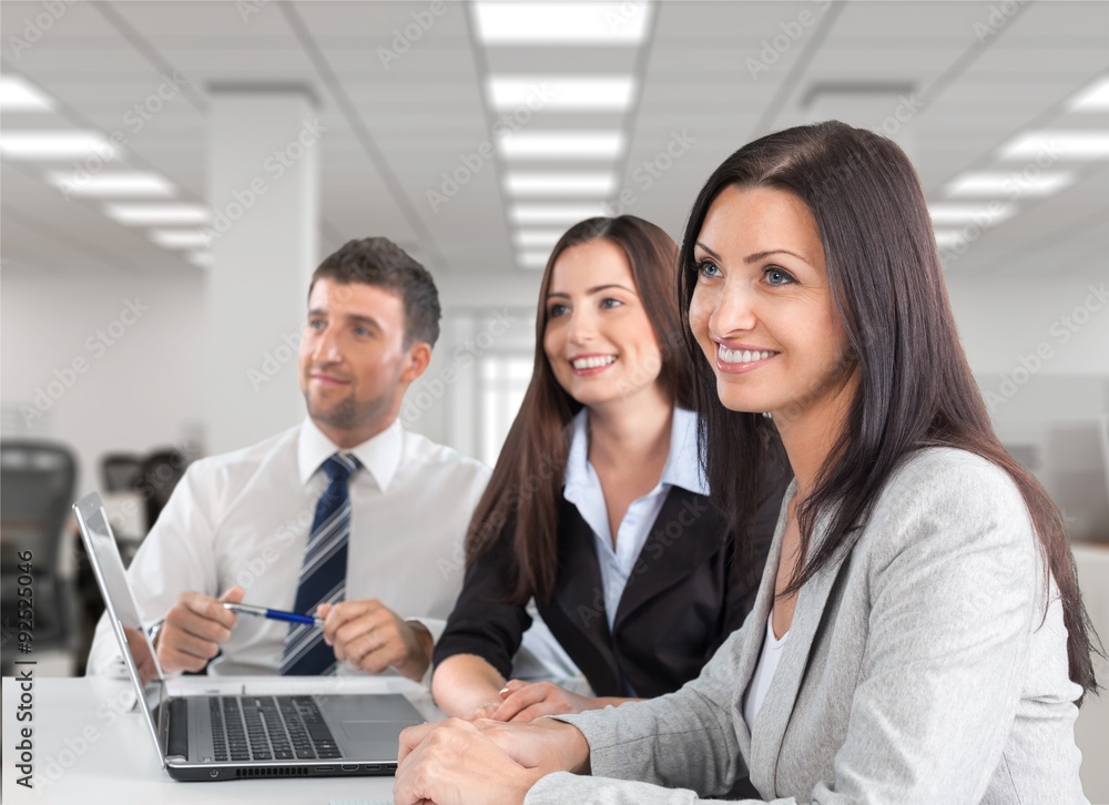 Fototapeta premium Business Meeting.