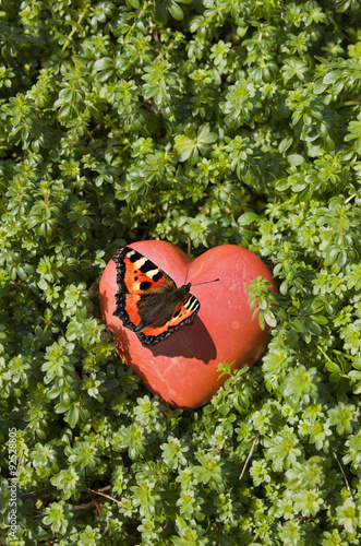 Schmetterling auf rotem Herz