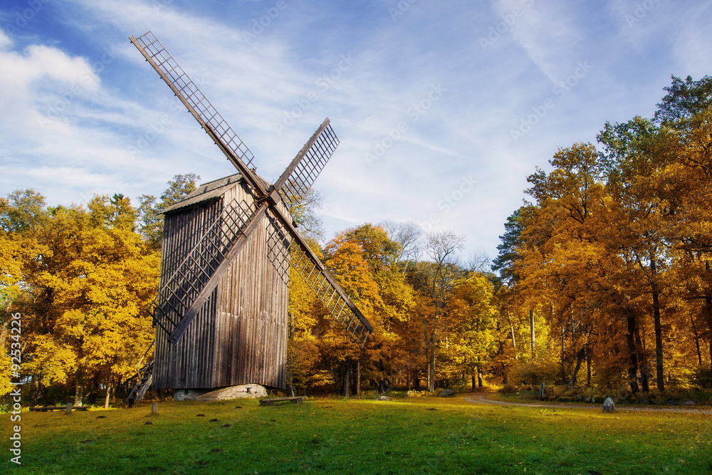 Obraz premium Windmill
